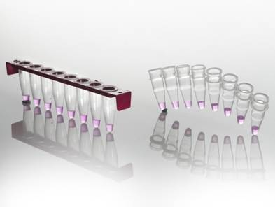 FrameStrip® 8 Well PCR Tube Strip