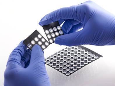 FrameStar® Break-2-Ways PCR Plate, Low Profile