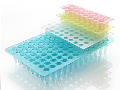 Non-Skirted PCR Plate Segments 