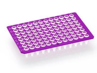 FrameStar® 96 Well Non-Skirted PCR Plate, Low Profile