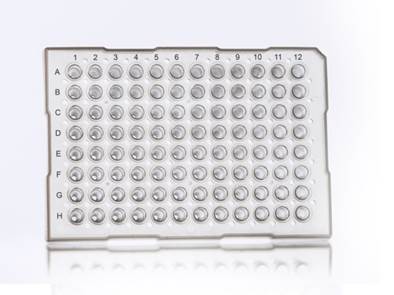 96 Well Semi-Skirted PCR Plate With Upstand, ABI® Style