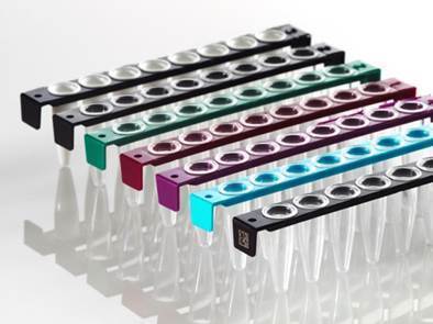 FrameStrip® 8 Well PCR Tube Strip 