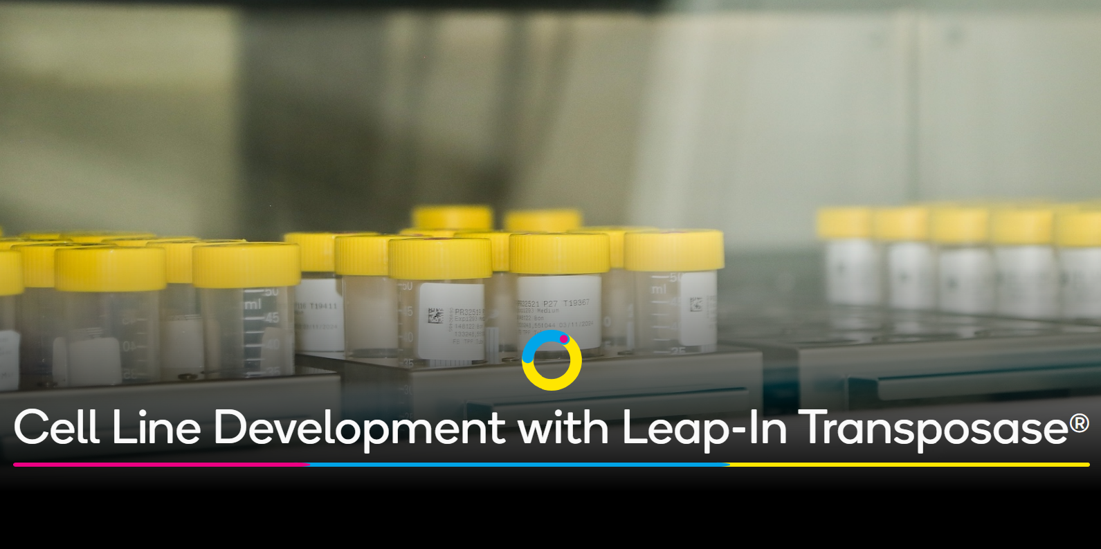 Leap-In Transposase Main Banner