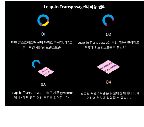 Leap-In Mechanism Diagram