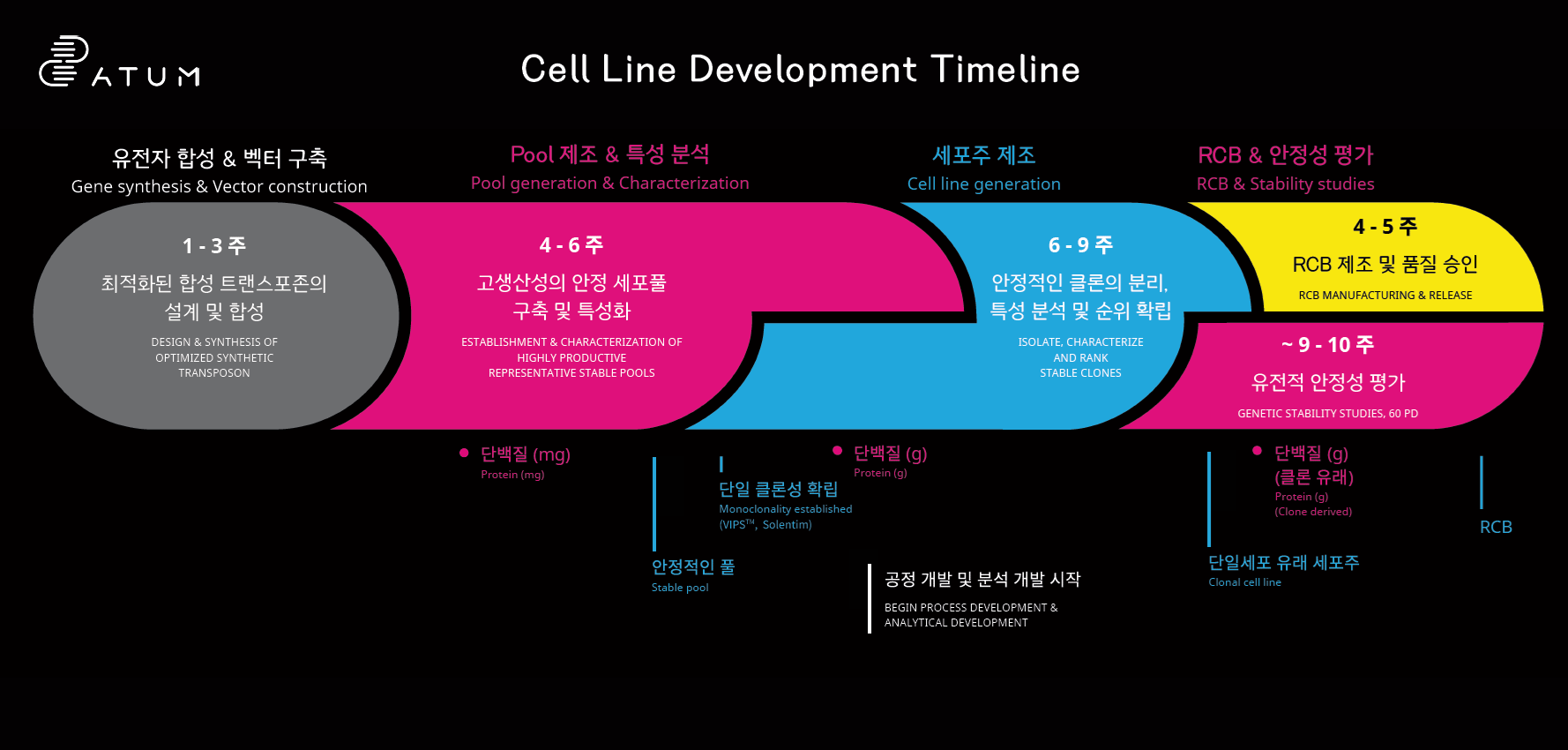 Workflow Diagram