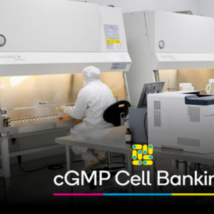 cGMP Cell Banking