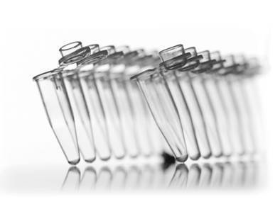 8 Well PCR Tube Strip, With Attached Caps