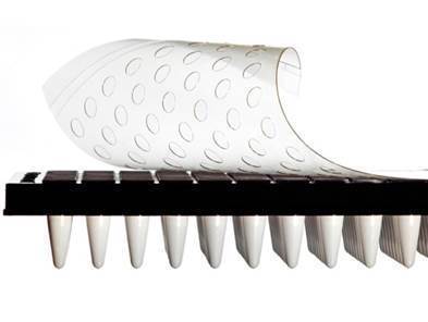 Q-Stick™ qPCR Seal 