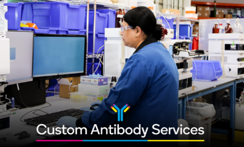Antibody Production & Engineering