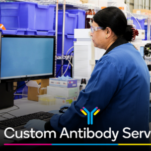 Antibody Production & Engineering