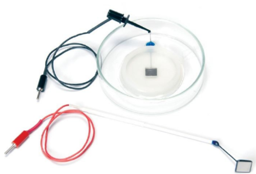 Petri Dish Platinum Electrodes and Chambers for Tissue Slices