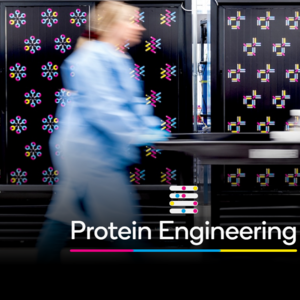 Protein Engineering