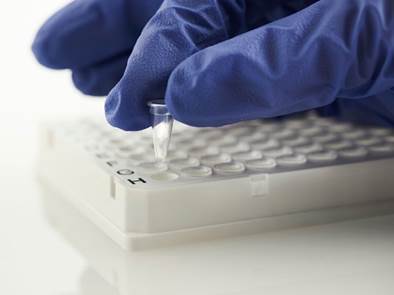 Random Access 96 Well Skirted PCR Plate