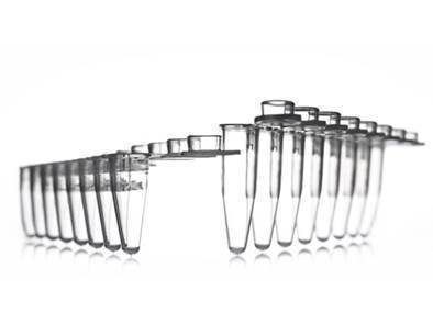8 Well PCR Tube Strip, With Attached Caps