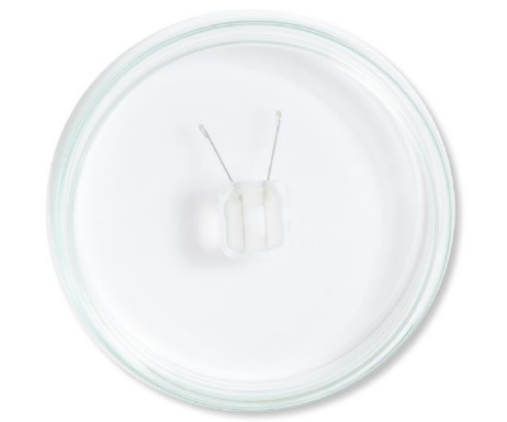 Petri Dish Platinum Electrodes and Chambers for Tissues