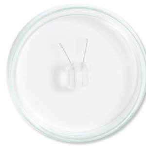 Petri Dish Platinum Electrodes and Chambers for Tissues