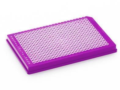 FrameStar® 384 Well Skirted PCR Plate