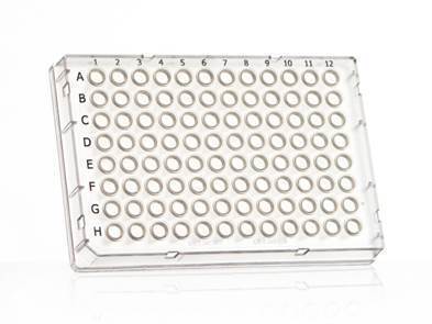 FrameStar® 96 Well Skirted Optical Bottom PCR Plate