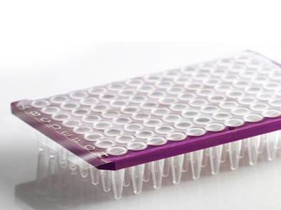 PCR Seal 