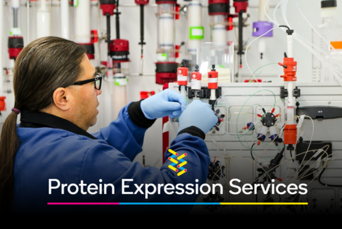 Protein Expression & Analytics