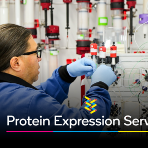 Protein Expression & Analytics