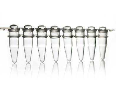 8 Well PCR Tube Strip