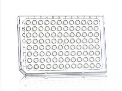  FrameStar® 96 Well Semi-Skirted PCR Plate